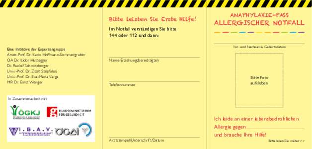 Bitte leisten Sie Erste Hilfe! Im Notfall verständigen Sie bitte 144 oder 112 und dann: Eine Initiative der Expertengruppe Assoc.Prof. Dr. Karin Hoffmann-Sommergruber OA Dr. Isidor Huttegger