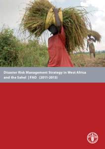 Disaster Risk Management Strategy in West Africa and the Sahel | FAO[removed]) Disaster Risk Management Strategy in West Africa and the Sahel | FAO[removed])