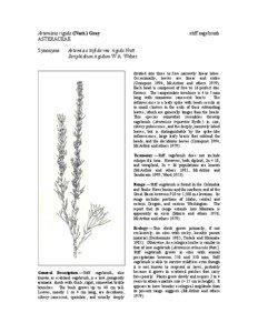 Artemisia rigida (Nutt.) Gray ASTERACEAE Synonyms: