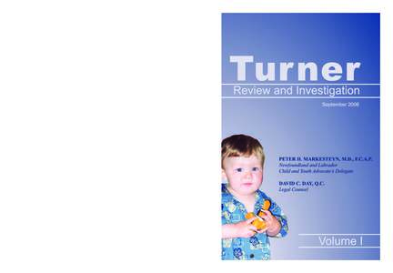 cover-vol1-outlines.indd[removed]:55:15 PM Turner Review and Investigation