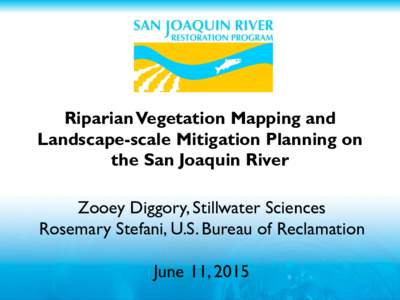 Riparian Vegetation Mapping and   Landscape-scale Mitigation Planning on the San Joaquin River