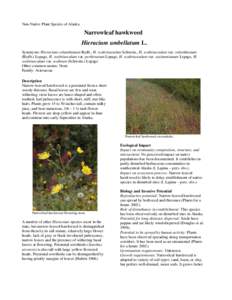 Invasive plant species / Hieracium / Pilosella aurantiaca / Flora / Botany / Hieracium gracile / Hieracium vulgatum / Cichorieae / Hawkweed / Hieracium canadense