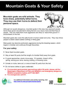 Mountain Goats & Your Safety Mountain goats are wild animals. They have sharp, potentially lethal horns. They may use their horns to defend their personal space. Although not usually dangerous, mountain goats in this are