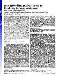 Life history biology of early land plants: Deciphering the gametophyte phase Thomas N. Taylor*†, Hans Kerp‡, and Hagen Hass‡