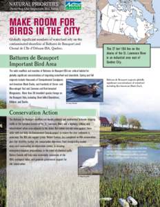 Ecoregions / Important Bird Area / Beauport /  Quebec City / Conservation / Ornithology / Bird conservation / BirdLife International