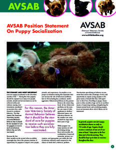 AVSAB Position Statement On Puppy Socialization American Veterinary Society of Animal Behavior
