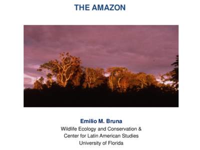THE AMAZON  Emilio M. Bruna Wildlife Ecology and Conservation & Center for Latin American Studies University of Florida