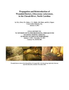 Propagation and Reintroduction of Wounded Darters, Etheostoma vulneratum, in the Cheoah River, North Carolina by M.A. Petty, P.L. Rakes, C.L. Ruble, J.R. Shute, and R.A. Xiques Conservation Fisheries, Inc. January 4, 201