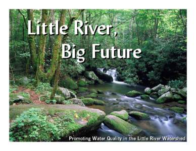 Little River, Big Future