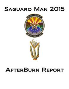 Saguaro ManAfterBurn Report Table of Contents Introduction