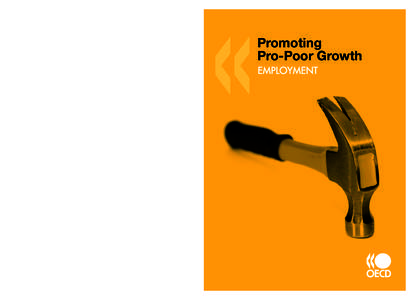 Promoting Pro-Poor Growth employment Employment is the main route out of poverty for poor people in developing countries. To make stronger progress towards the poverty reduction target of the Millennium Development Goals