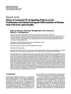Effects of Canonical NF-κB Signaling Pathway on the Proliferation and Odonto/Osteogenic Differentiation of Human Stem Cells from Apical Papilla