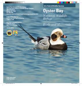 Oyster Bay National Wildlife Refuge c/o Long Island National Wildlife Refuge Complex 340 Smith Road Shirley, NY[removed]0485 www.fws.gov/northeast/longislandrefuges/oysterbay.html