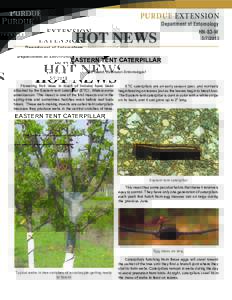 PURDUE EXTENSION  HOT NEWS Department of Entomology HN-83-W
