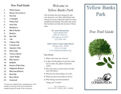 Tree Trail Guide 1. White Spruce  2.