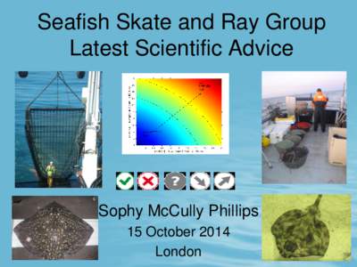 Seafish Skate and Ray Group Latest Scientific Advice Sophy McCully Phillips 15 October 2014 London