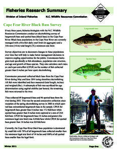 Fisheries Research Summary Division of Inland Fisheries N.C. Wildlife Resources Commission  Cape Fear River Black Bass Survey