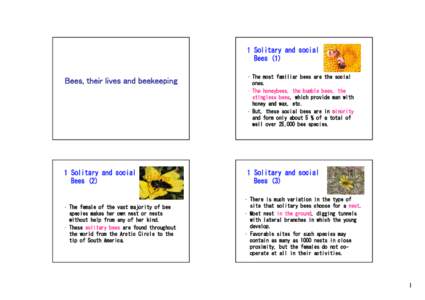 Microsoft PowerPoint - Bees and their lives.ppt1.ppt