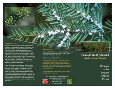 Individual HWA - www.forestryimages.org  Control - continued The second method involves spraying the infested hemlocks with insecticidal soaps or horticultural oils. According to the N.C. State University Cooperative