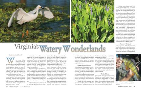 Sally Mills  Threats to Wetlands Virginia’s by Glenda C. Booth