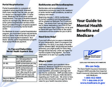 Partial Hospitalization  Barbiturates and Benzodiazepines Partial hospitalization is a program of outpatient active psychiatric treatment