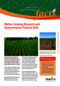 Mallee Catchment Management Authority / IBRA regions / The Mallee / Birchip /  Victoria / Walpeup /  Victoria / Mallee / Ouyen / Sustainable agriculture / Catchment Management Authority / States and territories of Australia / Geography of Australia / Victoria