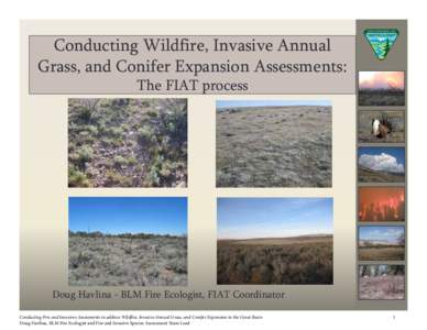 Conducting Wildfire, Invasive Annual Grass, and Conifer Expansion Assessments: The FIAT process Doug Havlina - BLM Fire Ecologist, FIAT Coordinator Conducting Fire and Invasives Assessments to address Wildfire, Invasive 