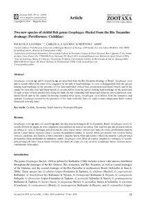 Cichlid / Universidade Federal do Tocantins / Tocantins / Geophaginae / Geophagus / G. proximus