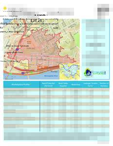 MARKET PROFILE  Fifth and Forbes Avenues Commercial District Uptown / Hill District 2015 Business Summary (2 Minute Drive Time)