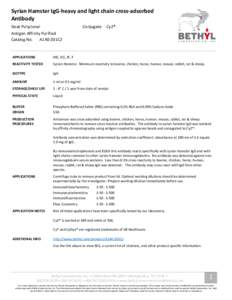 Syrian Hamster IgG-heavy and light chain cross-adsorbed Antibody Goat Polyclonal Conjugate