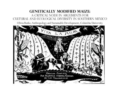 Genetically Modified Maize: A Critical Node in Arguments for Cultural and Ecological Diversity in Southern Mexico Olivia Burke, Anthropology and Sustainable Development, Columbia University  