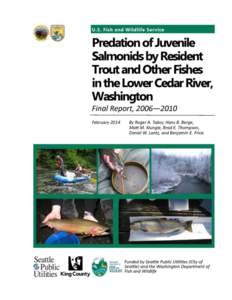 PREDATION OF JUVENILE SALMONIDS BY RESIDENT TROUT AND OTHER FISHES IN THE LOWER CEDAR RIVER, WASHINGTON FINAL REPORT TO SEATTLE PUBLIC UTILITIES  by