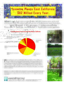 Invasive Plants Cost California $82 Million Every Year. At least. Estimates of actual impacts reach into the $ billions. $82 million represents current costs of control, monitoring, and outreach. This investment repays i