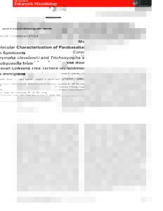 Termites / Trichonympha / DNA barcoding / Biology / Microbiology / Incisitermes