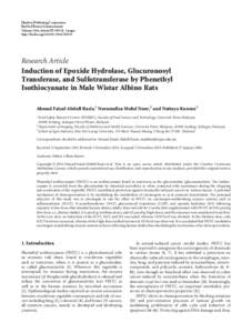 Induction of Epoxide Hydrolase, Glucuronosyl Transferase, and Sulfotransferase by Phenethyl Isothiocyanate in Male Wistar Albino Rats