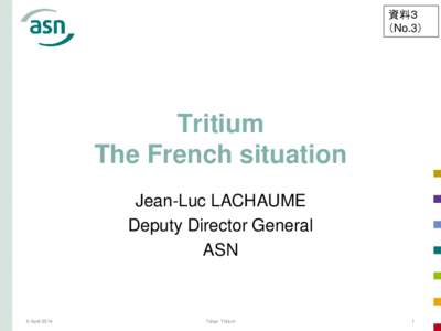 資料３ （No.3） Tritium The French situation Jean-Luc LACHAUME