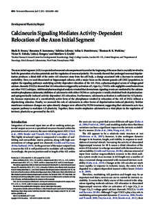 6950 • The Journal of Neuroscience, April 17, 2013 • 33(16):6950 – 6963  Development/Plasticity/Repair Calcineurin Signaling Mediates Activity-Dependent Relocation of the Axon Initial Segment