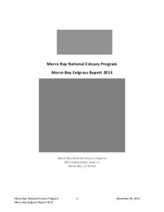 Morro Bay National Estuary Program Morro Bay Eelgrass Report 2013 Morro Bay National Estuary Program 601 Embarcadero, Suite 11 Morro Bay, CA 93442