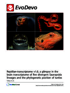 Reptilian-transcriptome v1.0, a glimpse in the brain transcriptome of five divergent Sauropsida lineages and the phylogenetic position of turtles Tzika et al. Tzika et al. EvoDevo 2011, 2:19 http://www.evodevojournal.com