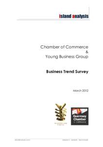 island analysis  Chamber of Commerce &  Young Business Group