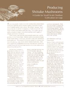 The two most popular mushrooms in the world are the common button mushroom (Agaricusspecies) and the shiitake or black forest mushroom (Lentinus edodes), shown above. The shiitake, meaning “mushroom of the shii or oak 