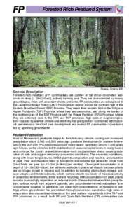 Forested Rich Peatland System  Roseau County, MN General Description