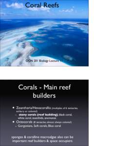 Coral Reefs  OCN 201 Biology Lecture 11 Corals - Main reef builders