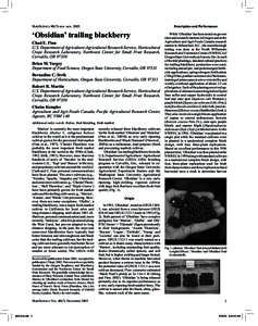 Description and Performance  HORTSCIENCE 40(7):xxx–xxx. 2005. ‘Obsidian’ trailing blackberry Chad E. Finn