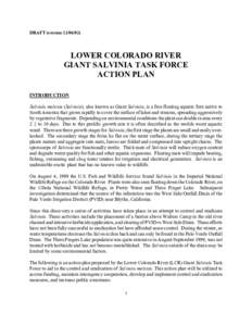 DRAFT (version[removed]LOWER COLORADO RIVER GIANT SALVINIA TASK FORCE ACTION PLAN INTRODUCTION