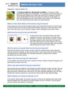 AMERICAN DOG TICK Nicknames: Dog tick, Wood Tick The American dog tick, Dermacentor variabilis, is a tick species widely distributed throughout the United States. It is associated with the transmission of Rocky Mountain 