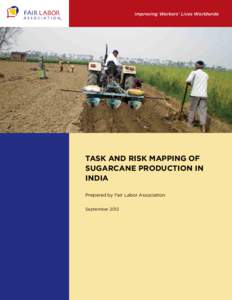 Improving Workers’ Lives Worldwide  TASK AND RISK MAPPING OF SUGARCANE PRODUCTION IN INDIA Prepared by Fair Labor Association