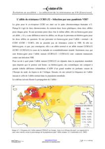 Ist die genetische Variabilität des CCR5-Gens des Menschen auf natürliche Selektion durch die HIV-Pandemie zurückzuführen