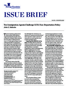 Illegal Immigration Reform and Immigrant Responsibility Act / U.S. Immigration and Customs Enforcement / Standing / Immigration to the United States / DREAM Act / Case law / Immigration and Naturalization Service v. St. Cyr / Illegal immigration to the United States / Heckler v. Chaney / Law