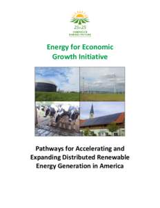 Energy for Economic Growth Initiative Pathways for Accelerating and Expanding Distributed Renewable Energy Generation in America